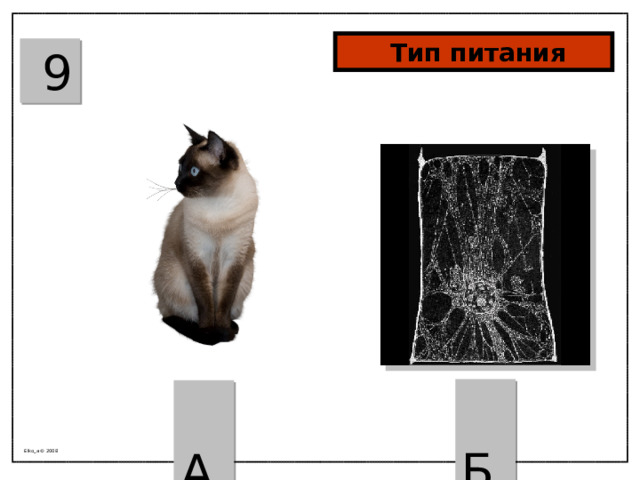  Тип питания  9  Б  А Elko_a © 2008 