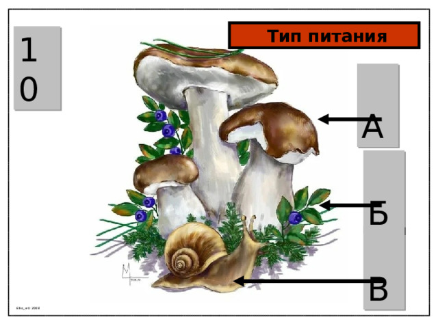  Тип питания 10  А  Б  В Elko_a © 2008 