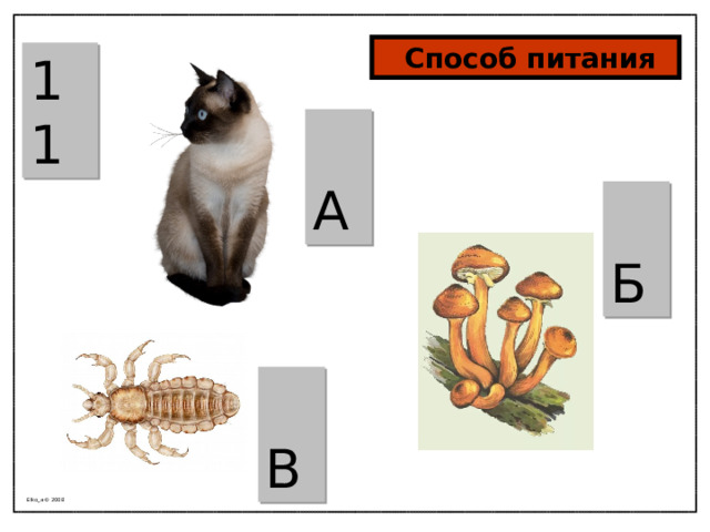  Способ питания 11  А  Б  В Elko_a © 2008 