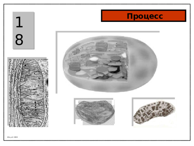  Процесс 18 Elko_a © 2008 