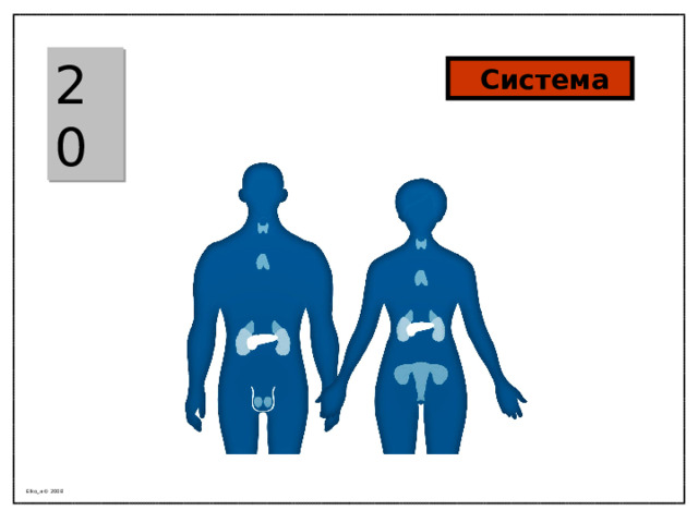 20  Система Elko_a © 2008 