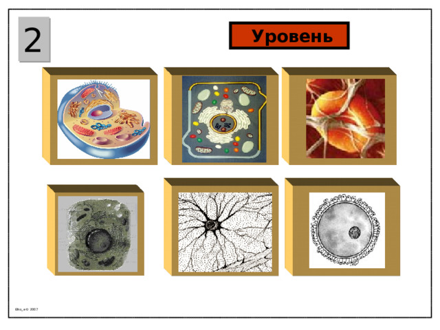 2  Уровень Elko_a © 200 7  
