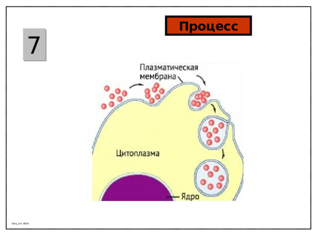 Процесс 7 Elko_a © 2008 