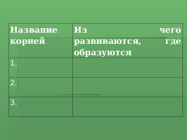 Название корней Из чего развиваются, где образуются 1. 2. 3. 