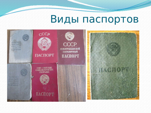  Виды паспортов 