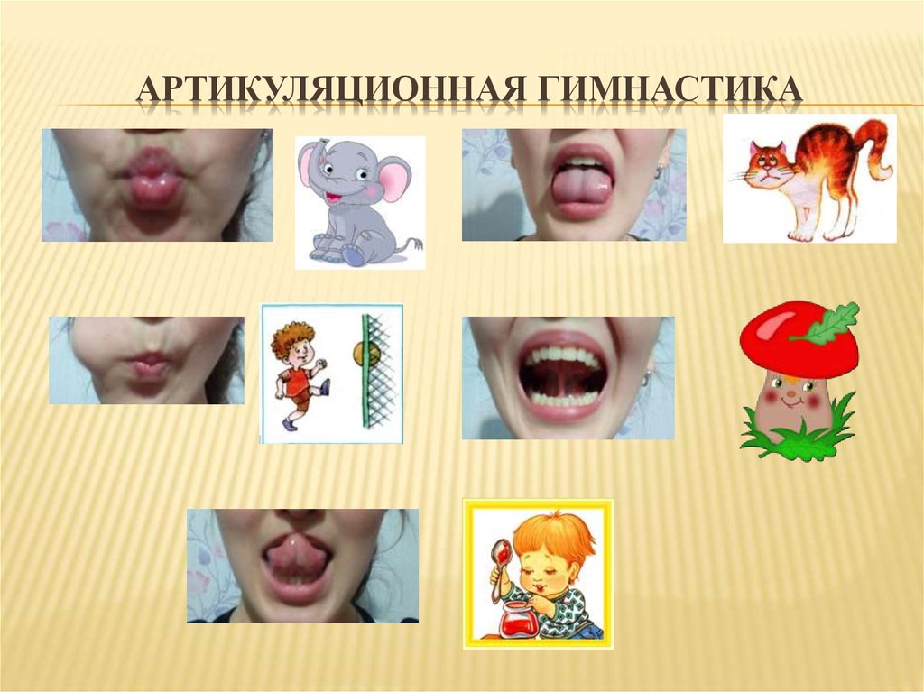 Работа по развитию артикуляционной моторики. Артикуляционная гимнастика логопед. Логопедические упражнения артикуляционная гимнастика. Уроки логопеда артикуляционная гимнастика. Артикуляционная гимнастика упражнения для языка.