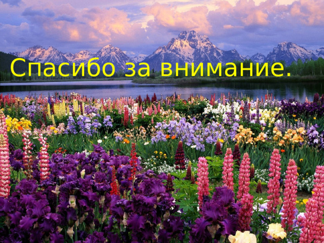 Спасибо за внимание. 