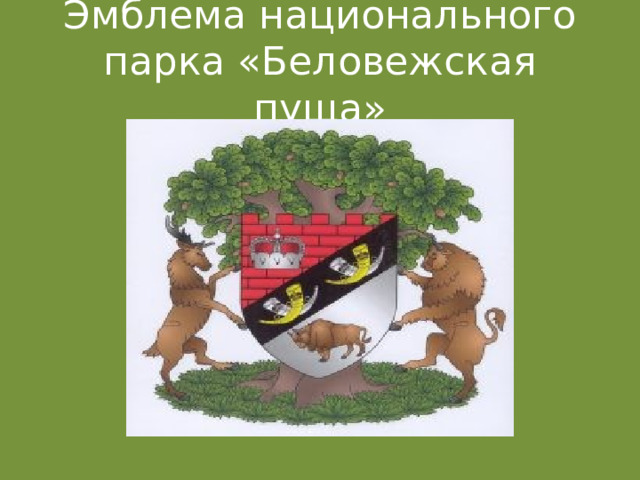 Эмблема национального парка «Беловежская пуща» 