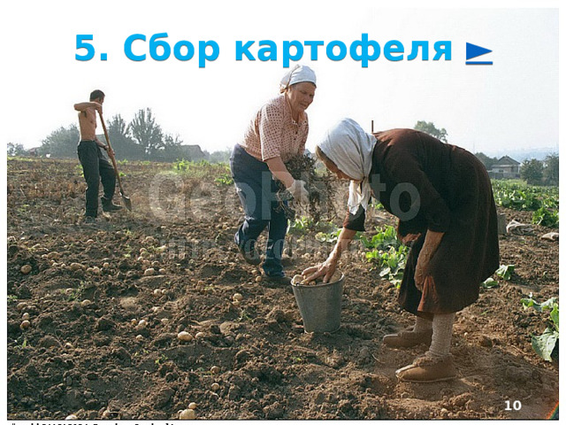 2/20/23 4. Чем сельские поселения отличаются друг от друга? ►  Как и города, сельские поселения различаются по численности населения. Всё большая часть сель­ских жителей сосредоточивается в крупных поселениях, где дешевле создавать современ­ное жильё, учреждения сферы услуг.  