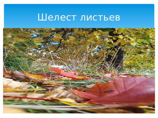 Шелест листьев 