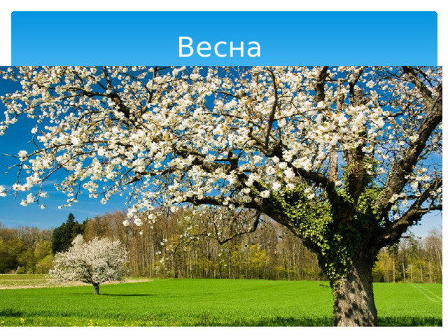Весна 