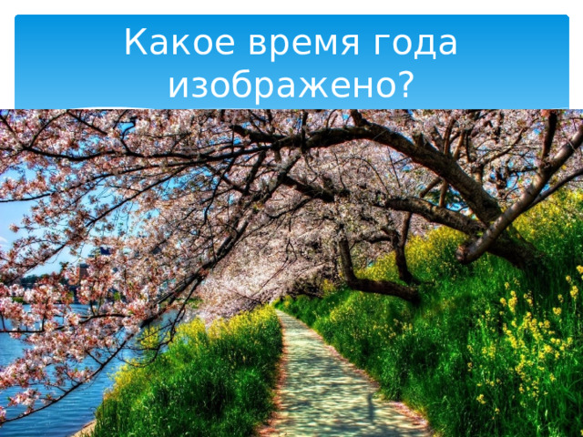 Какое время года изображено? 