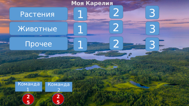 Моя Карелия 2 3 Растения 1 2 3 Животные 1 2 Прочее 1 3 Команда 1 Команда 2 22 20 6 24 9 5 18 1 2 3 4 19 11 21 7 14 18 25 10 17 16 8 12 1 6 25 2 3 4 5 19 11 15 24 22 21 9 16 10 8 7 14 23 12 17 13 23 13 15 20  