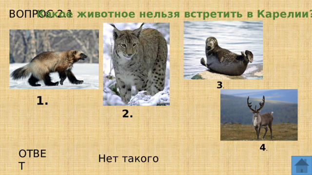 ВОПРОС 2.1 Какое животное нельзя встретить в Карелии? 3 . 1. 2. 4 . ОТВЕТ Нет такого  