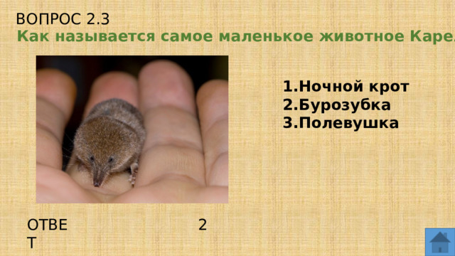 ВОПРОС 2.3 Как называется самое маленькое животное Карелии? Ночной крот Бурозубка Полевушка ОТВЕТ 2  