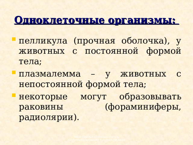 Одноклеточные организмы:   пелликула (прочная оболочка), у животных с постоянной формой тела; плазмалемма – у животных с непостоянной формой тела; некоторые могут образовывать раковины (фораминиферы, радиолярии). МБОУ СОШ №4 с.Раевский учитель биологии Хуснутдинова Гульнара Гаязовна 