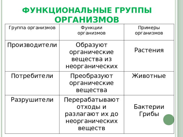 Растения в природных сообществах производят органическое вещество