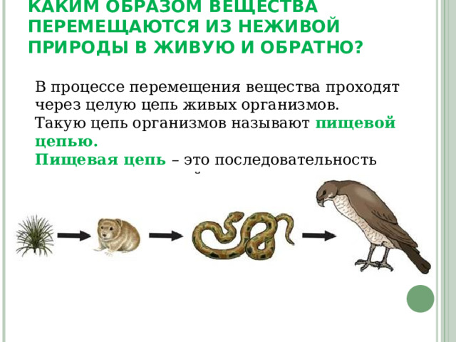 Охрана живых организмов и природных сообществ 6 класс презентация