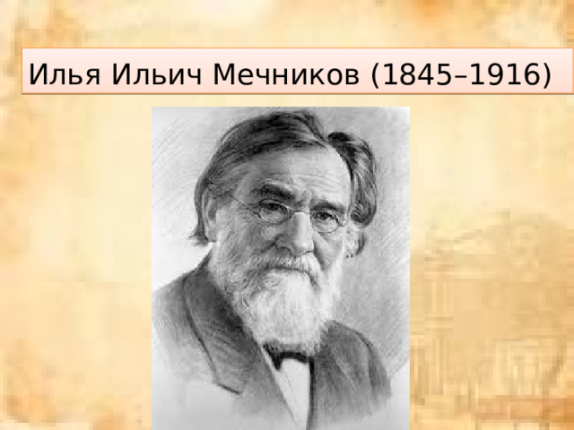 Илья Ильич Мечников (1845–1916) 