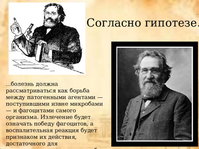 Согласно гипотезе… … болезнь должна рассматриваться как борьба между патогенными агентами — поступившими извне микробами — и фагоцитами самого организма. Излечение будет означать победу фагоцитов, а воспалительная реакция будет признаком их действия, достаточного для предотвращения атаки микробов» 
