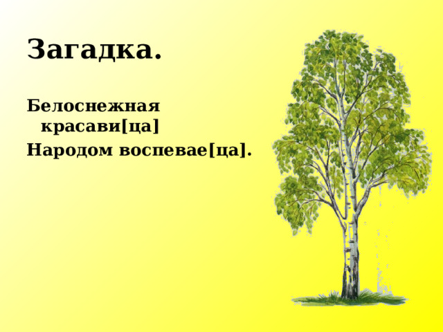 Загадка. Белоснежная красави [ ца ] Народом воспевае [ ца ] . 