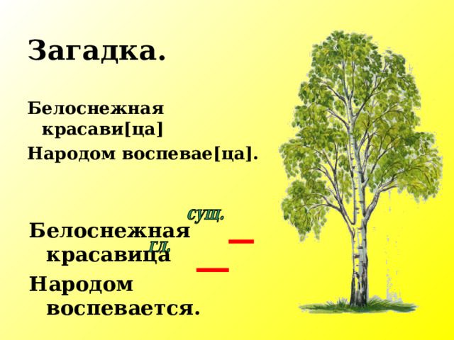 Загадка. Белоснежная красави [ ца ] Народом воспевае [ ца ] . Белоснежная красавица Народом воспевается. 