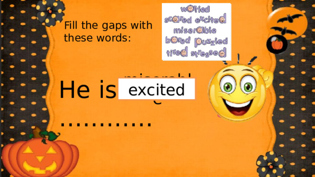 Fill the gaps with these words: He is ………… miserable bored puzzled excited stressed tired scared worried 