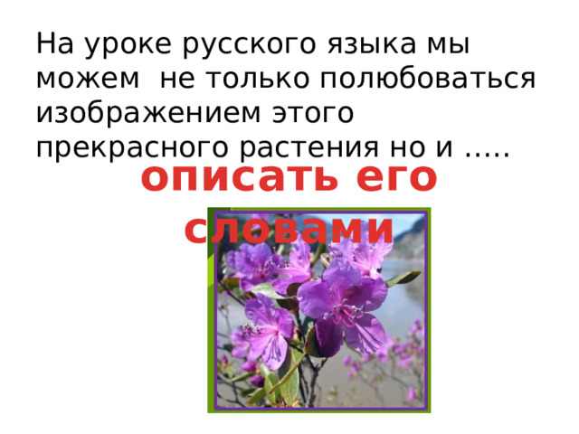 На уроке русского языка мы можем не только полюбоваться изображением этого прекрасного растения но и ….. описать его словами 
