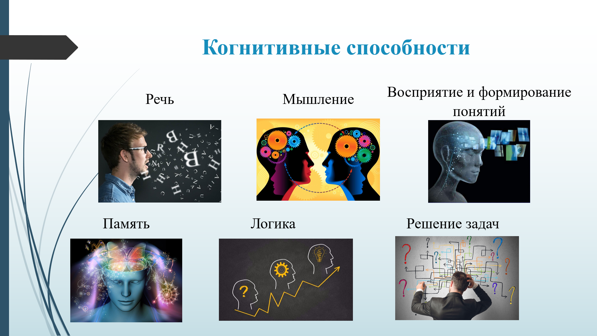 Когнитивные способности в ранней взрослости.