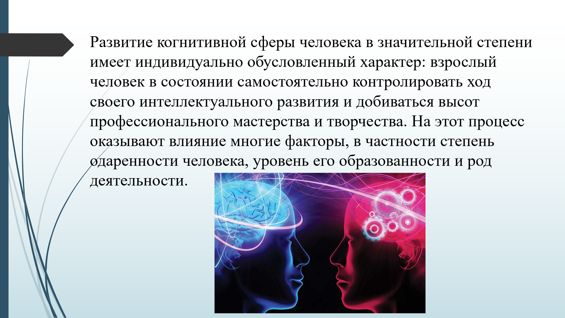 Когнитивные способности в ранней взрослости.