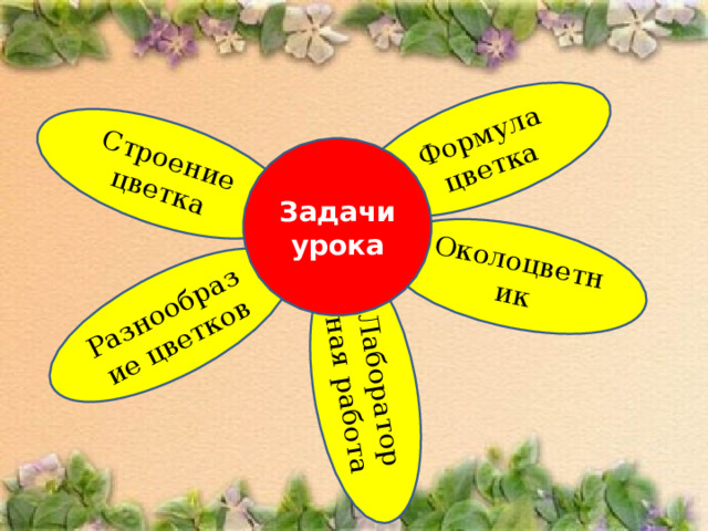 Лабораторная работа Формула цветка Разнообразие цветков Околоцветник Строение цветка Задачи урока 