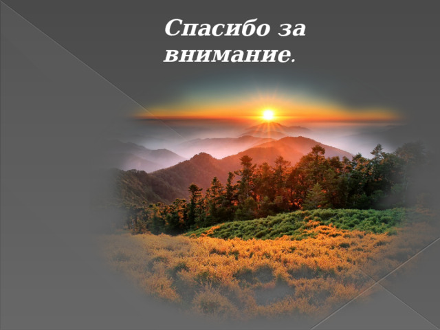Спасибо за внимание . 