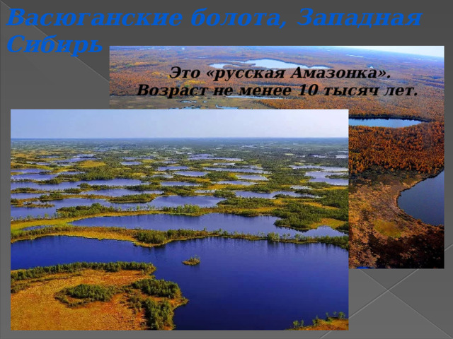 Васюганские болота, Западная Сибирь Это «русская Амазонка». Возраст не менее 10 тысяч лет. 