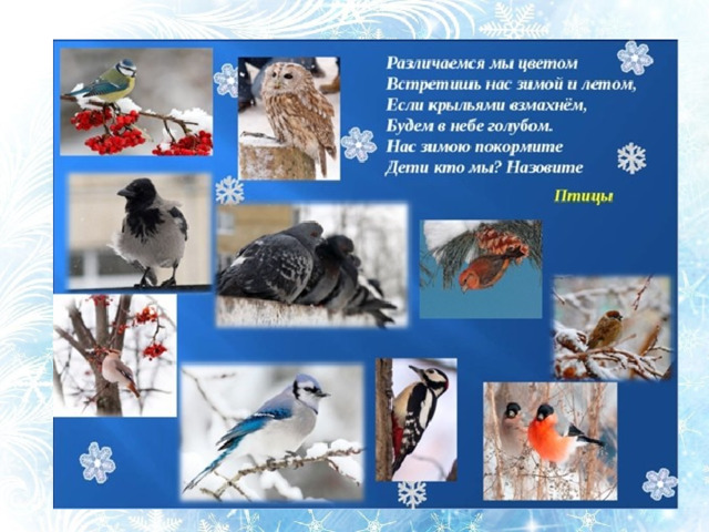 Различаемся мы цветом Встретишь нас зимой и летом, Если крыльями взмахнём, Будем в небе голубом. Нас зимою покормите Дети кто мы? Назовите (Птицы).  