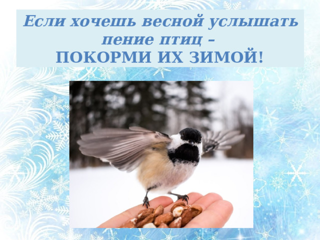 Если хочешь весной услышать пение птиц –  ПОКОРМИ ИХ ЗИМОЙ! Если хочешь весной услышать пение птиц – покорми их зимой!  