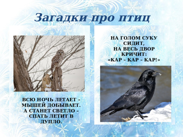 Загадки про птиц НА ГОЛОМ СУКУ СИДИТ,  НА ВЕСЬ ДВОР КРИЧИТ:  «КАР – КАР – КАР!» Всю ночь летает – Мышей добывает. А станет светло – Спать летит в дупло. (Сова) На голом суку сидит, На весь двор кричит: «Кар – кар – кар!» (Ворона) ВСЮ НОЧЬ ЛЕТАЕТ –  МЫШЕЙ ДОБЫВАЕТ.  А СТАНЕТ СВЕТЛО –  СПАТЬ ЛЕТИТ В ДУПЛО.  