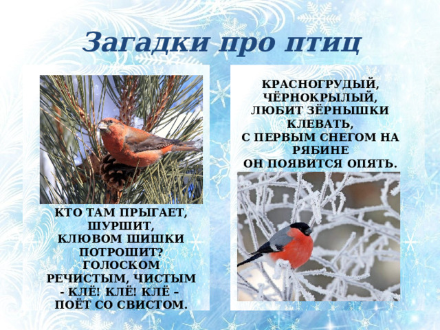 Загадки про птиц КРАСНОГРУДЫЙ, ЧЁРНОКРЫЛЫЙ,  ЛЮБИТ ЗЁРНЫШКИ КЛЕВАТЬ,  С ПЕРВЫМ СНЕГОМ НА РЯБИНЕ  ОН ПОЯВИТСЯ ОПЯТЬ. КТО ТАМ ПРЫГАЕТ, ШУРШИТ,  КЛЮВОМ ШИШКИ ПОТРОШИТ?  ГОЛОСКОМ РЕЧИСТЫМ, ЧИСТЫМ  - КЛЁ! КЛЁ! КЛЁ –  ПОЁТ СО СВИСТОМ. Кто там прыгает, шуршит, Клювом шишки потрошит? Голоском речистым, чистым Клё! Клё! Клё! – Поёт со свистом. (Клёст) Красногрудый, чёрнокрылый, Любит зёрнышки клевать, С первым снегом на рябине Он появится опять. (Снегирь)  