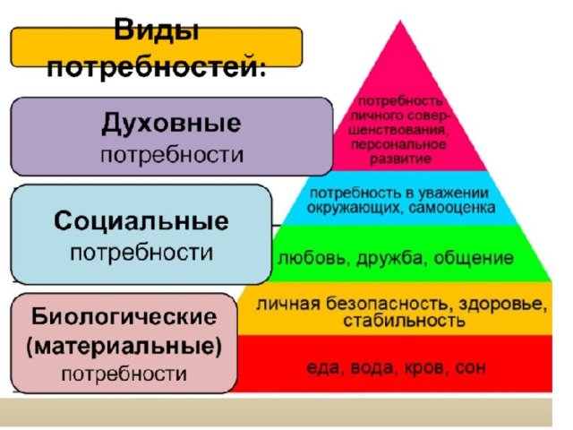 Для иллюстрации какой социальной потребности человека может быть использована данная фотография впр