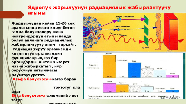 Ядролук жарылуунун радиациялык жабырлантуучу агымы Жардыруудан кийин 15-20 сек аралыгында көзгө к ө р ү нб ө г ө н гамма бөлүкчөлөрү жана нейтрондордун агымы пайда болуп айланага радиациялык жабырлантуучу агым таркайт.  Радиация тир үү организмди к ө з ө п ө т ү п организмдин функцияларын,кээ бир органдарды иштен чыгарат мээни жабыркатып , нур оорусунун натыйжасы ө лүмгөучуратат.  Альфа бөлүкчөсүн- кагаз барак  токтотуп кла алат Бета бөлүкчөсүл- алюминий  лист тосуп  өткөрбөй кое алат. Гамма квантттары жана нейтрондор- ар кандай предметтерди көзөп өтүүгө жөндөмдүү 