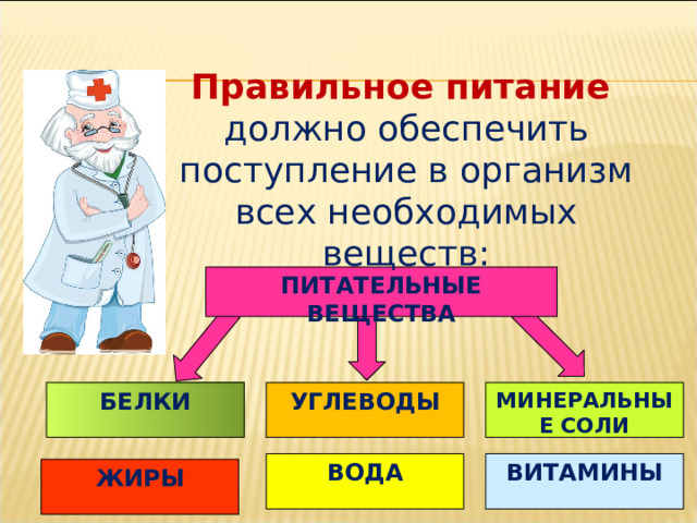 Правильное питание должно  обеспечить поступление в организм всех необходимых веществ: ПИТАТЕЛЬНЫЕ ВЕЩЕСТВА БЕЛКИ УГЛЕВОДЫ МИНЕРАЛЬНЫЕ СОЛИ ВОДА ВИТАМИНЫ ЖИРЫ 