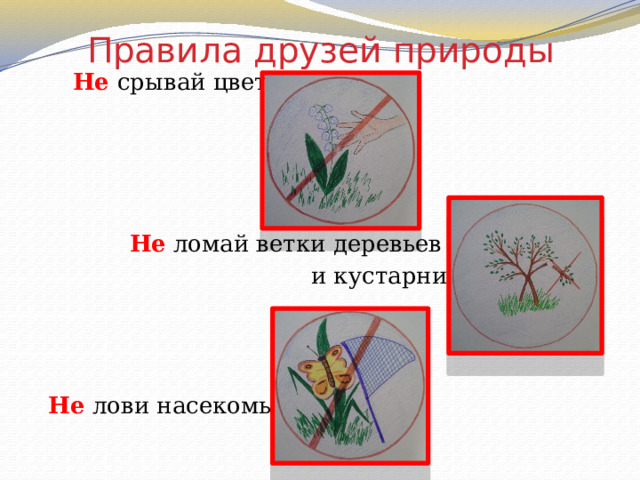 Не ломайте ветки деревьев и кустарников. Не ломай ветки деревьев и кустарников картинки. Раскраска не ломай ветки деревьев