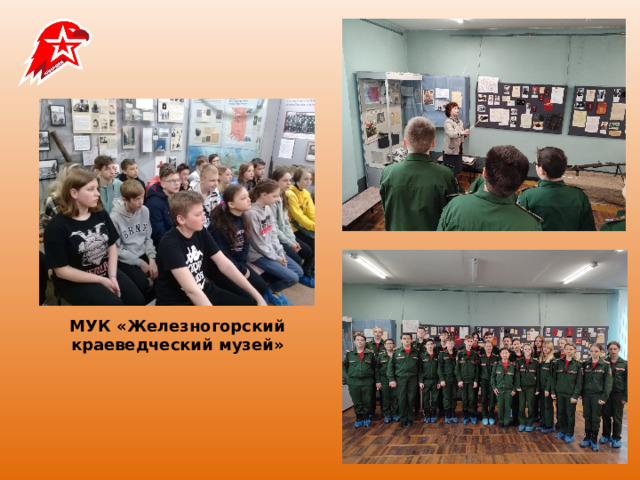 МУК «Железногорский краеведческий музей» 