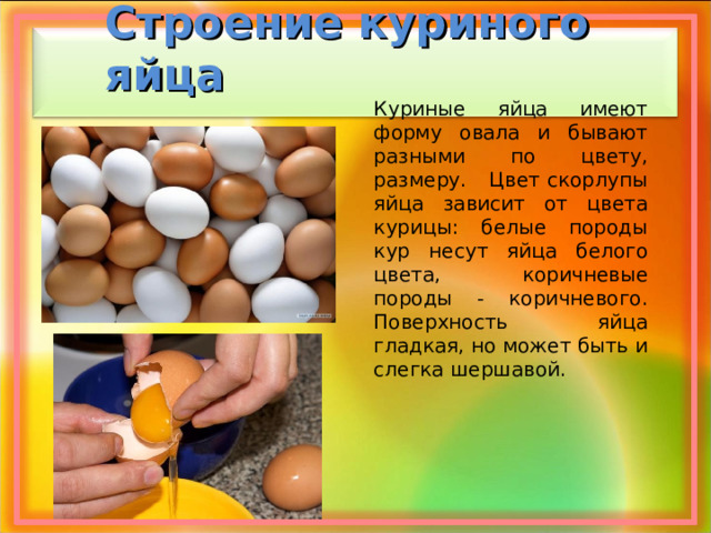Почему яйцо всплывает: особенности структуры и физические свойства