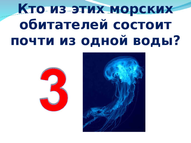 Кто из этих морских обитателей состоит почти из одной воды? 