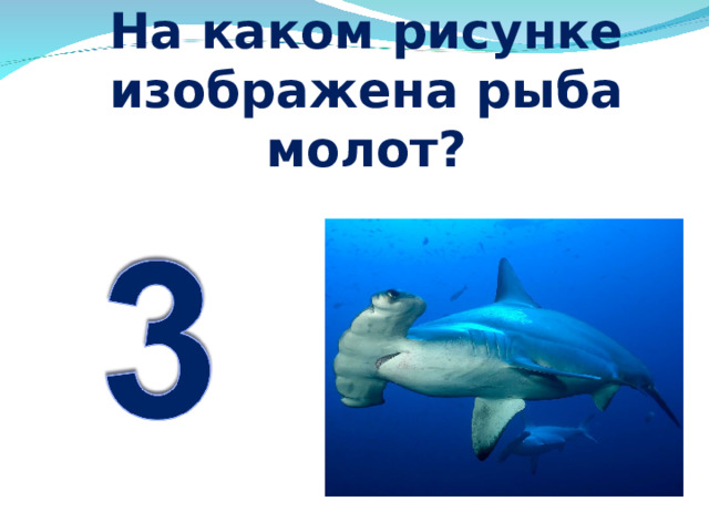 На рисунке изображена кистеперая рыба вымершее животное обитавшее 370