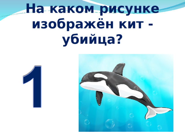 На каком рисунке изображён кит - убийца? 