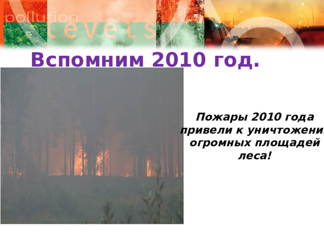 Вспомним 2010 год. Пожары 2010 года привели к уничтожению огромных площадей леса!  