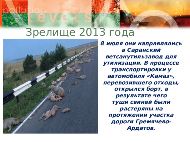 Зрелище 2013 года 8 июля они направлялись в Саранский ветсанутильзавод для утилизации. В процессе транспортировки у автомобиля «Камаз», перевозившего отходы, открылся борт, в результате чего туши свиней были растеряны на протяжении участка дороги Гремячево-Ардатов.   