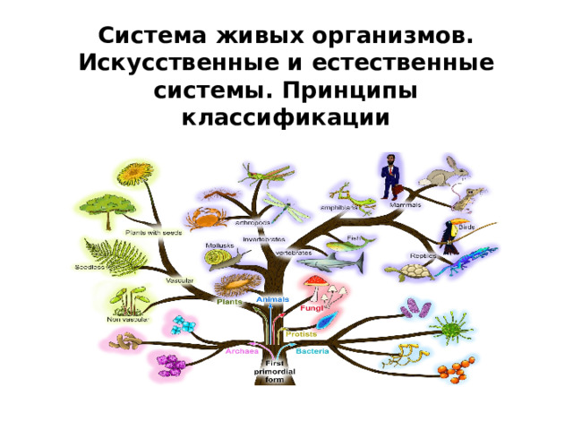 Система живых организмов. Искусственные и естественные системы. Принципы классификации   