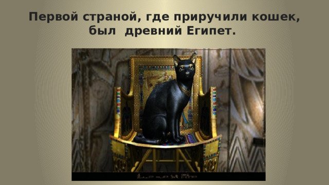 Первой страной, где приручили кошек, был древний Египет. 